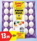Farmers Select Egg