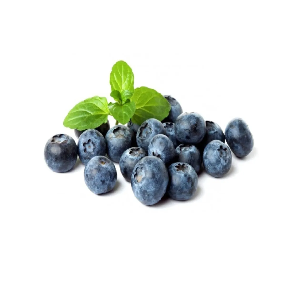 Fresh توت أزرق جنوب أفريقيا