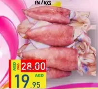 حبار