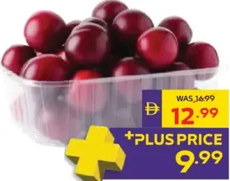 Plum Red