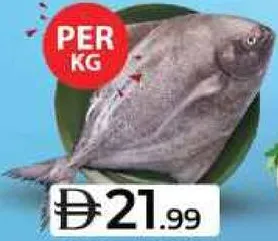 Pomfret Black