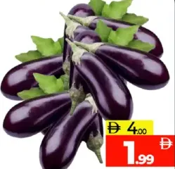 باذنجان كبير الحجم