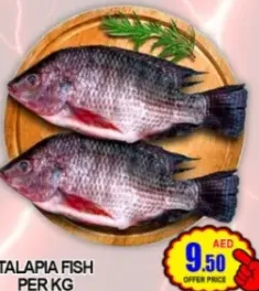 Talapia Fish