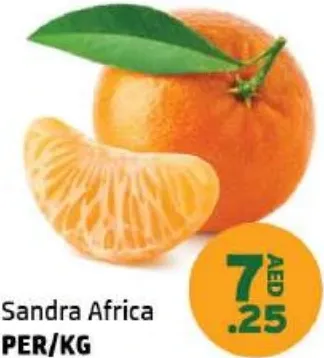 Sandra Africa