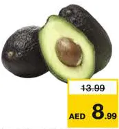 أفوكادو هاس كينيا