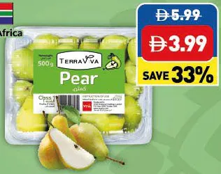 Terraviva Pear