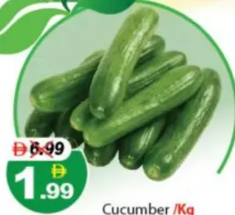 Cucumber