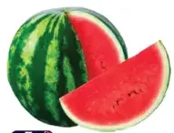 بطيخ