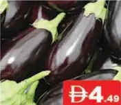 Egg Plant Holland