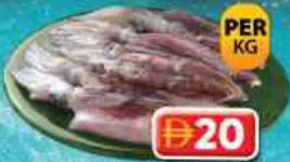 Fresh Squid Large
