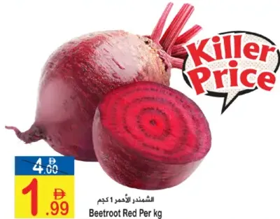 الشمندر الأحمر