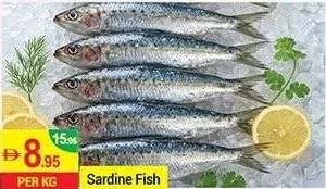Sardine Fish