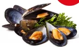 Half-Shell Mussels, Defrosted (New Zealand)