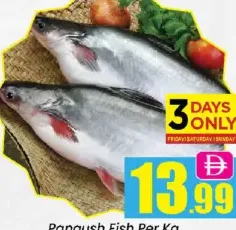 Pangush Fish