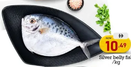 سمك سيلفر بيلي