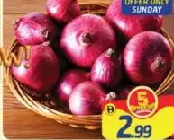 Onion Egypt