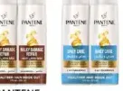 Pantene شامبو كلير متنوع