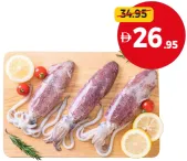 Squid Fresh (Pakistan) 20-30