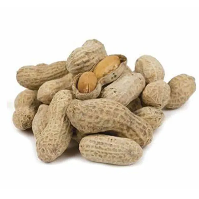 Carrefour Salted Peanuts With Shell