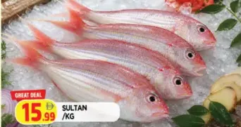 Sultan
