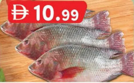 Tilapia per kg