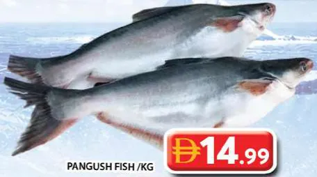Pangush Fish