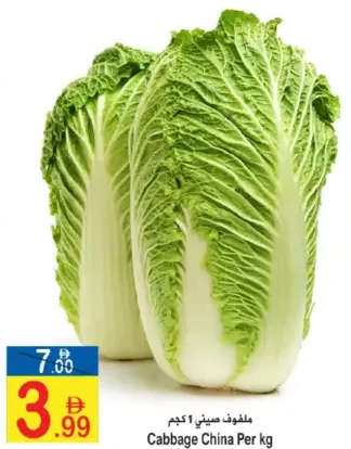 ملفوف صيني