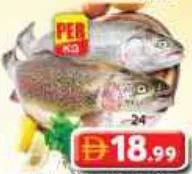 Salmon Trout