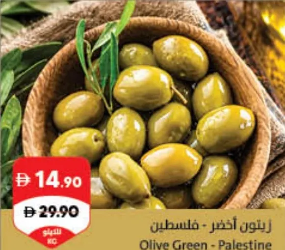 Olive Green - Palestine