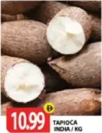 Tapioca India