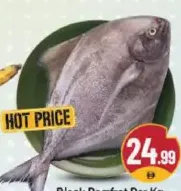 Black Pomfret