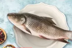 سمك طازج روه