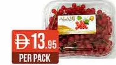 Red Current