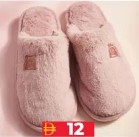 Winter Slipper