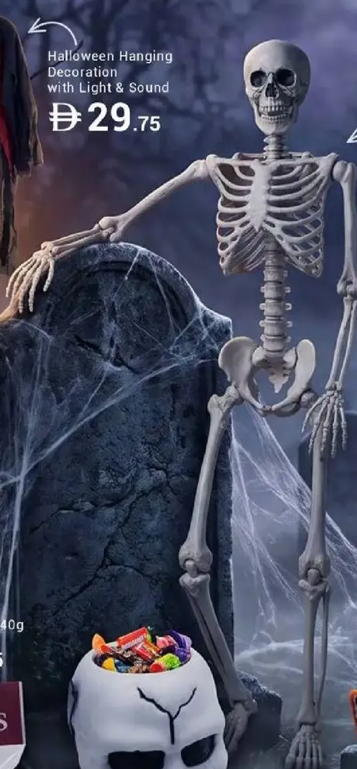 Halloween Skeleton Decoration