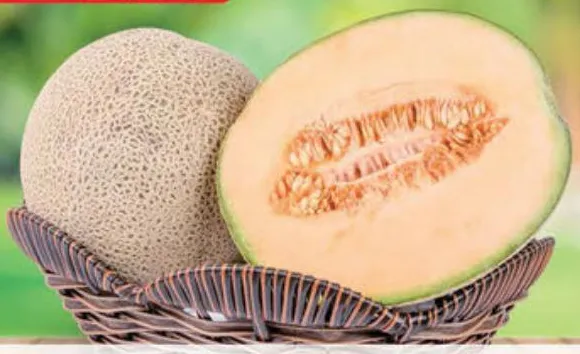 Sweet Melon
