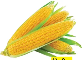 Sweet Corn