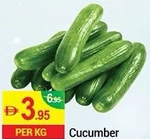 Cucumber
