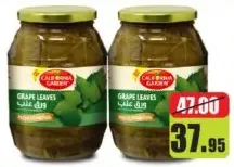 California Garden Grape Leaves N Brine