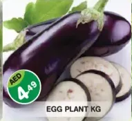 Eggplant