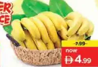 Banana Ecuador
