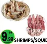 Shrimps/Squid