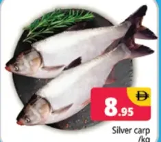 Silver Carp