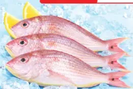 Fresh Sultan Ibrahim