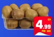 Kiwi