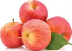 Apple Royal Gala Chile
