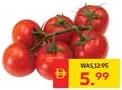 Tomato Dutch