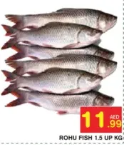 سمك روهو
