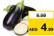 Eggplant Big