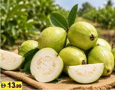Guava Egypt Box